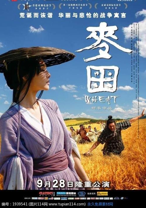 学历证书编号是多少位数字